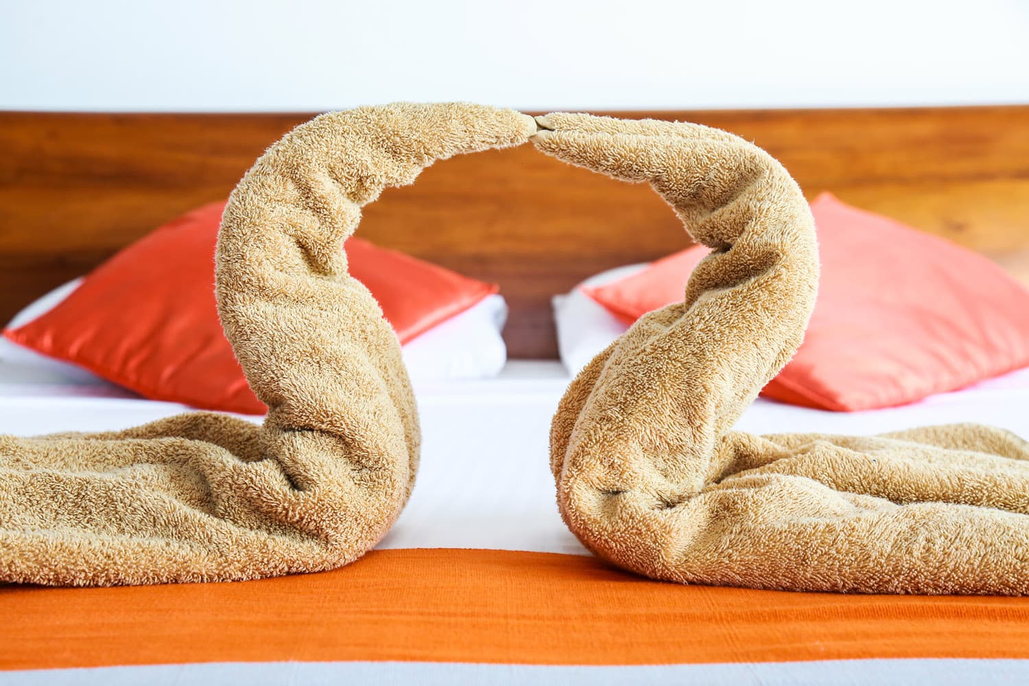 Towel art on guest bed