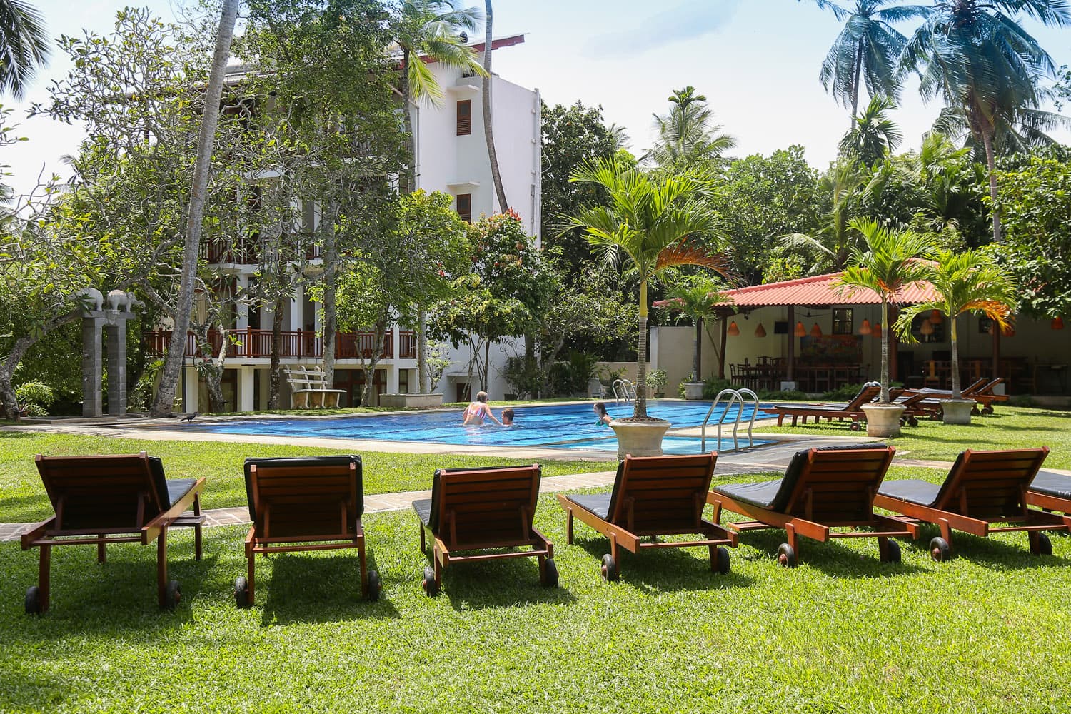 Garden lawn with poolside sun loungers