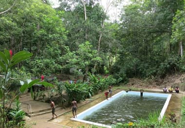 Kottawa Rainforest