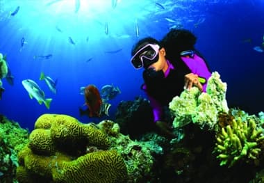Diving & Snorkelling