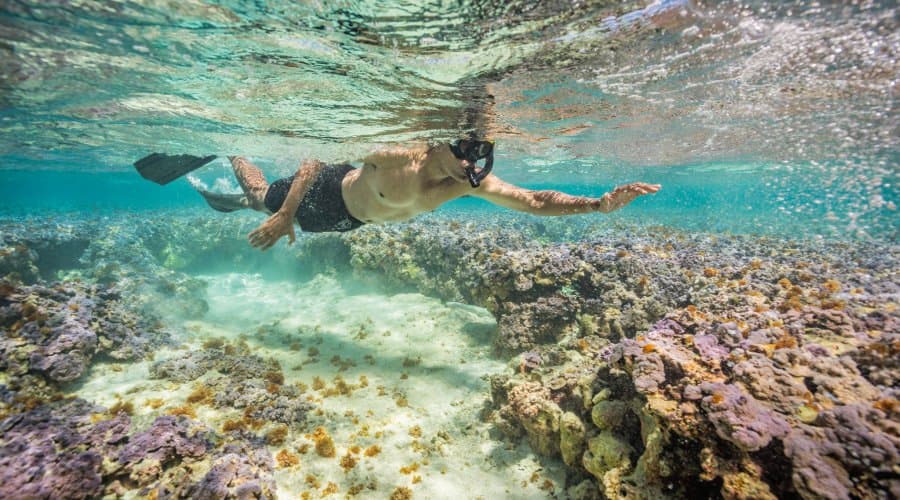 Diving & Snorkelling